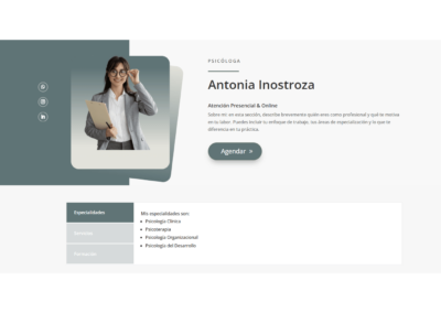 demo proy 293178237
